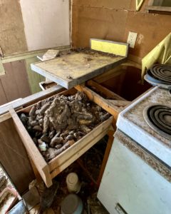 hoarders kitchen in abandoned house