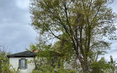 Exploring a 1850s Abandoned Farmhouse | Ohio History