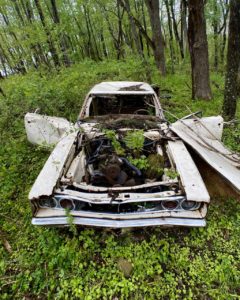 abandoned-dodge-cornet-in-the-woods