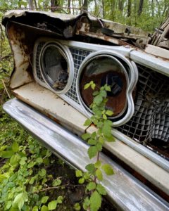 car-with-plant-growing-out-of-headlight