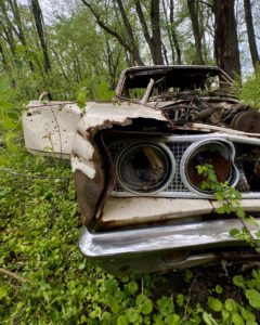 abandoned-car-reclaimed-by-nature-headlight