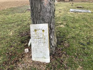 abandoned cemetery in ohio with tombstone leaning against tree