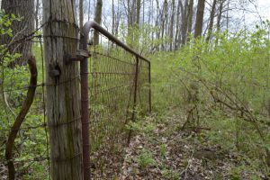 gate to abandoned cemetery in the woods in ohio