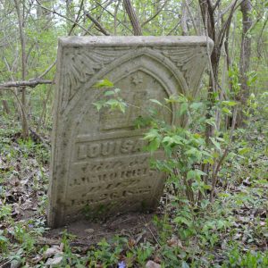 abandoned cemetery in the woods with louisa headstone