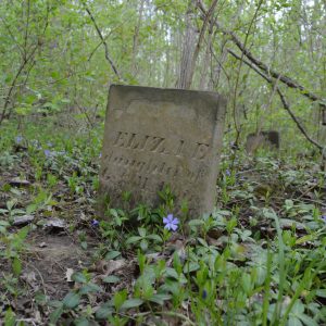abandoned headstone for eliae in the woods