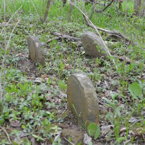 three round abandoned headstones in the woods