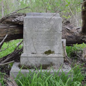 abandoned headstone with tree fallen