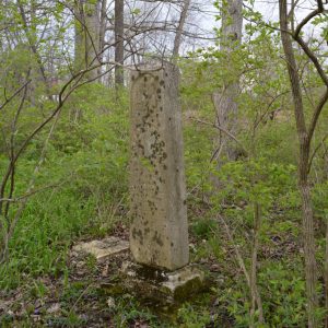 abandoned tall headstones overgrown in cemetery