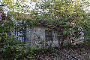 abandoned farm neighborhood ohio overgrown house