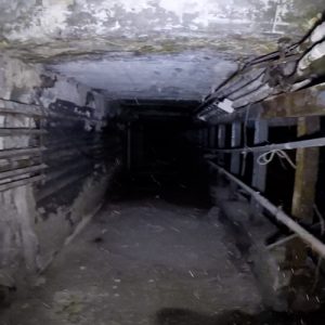 mendelsons steam tunnel in dayton