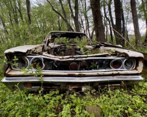 front-of-abandoned-dodge-coronet-in-woods