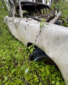 abandoned-car-with-ivy-covering