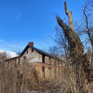 abandoned colonial farmhouse front tree