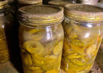 old-canned-jars-food-abandoned