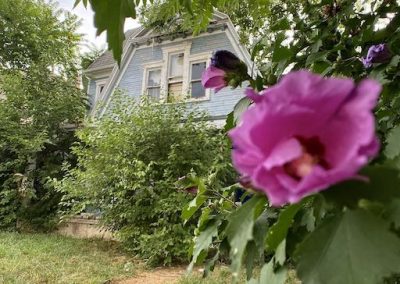 abandoned-victorian-house-dayton-pink-flower-close