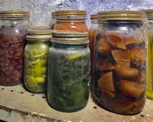 colorful-canned-fruit-vegetables