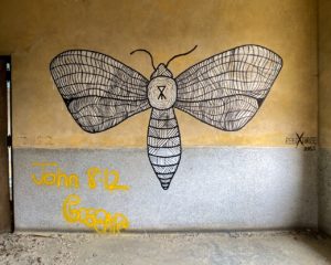 abandoned moth mural inside abandoned school