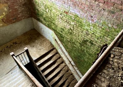abandoned school staircase green mossy wall